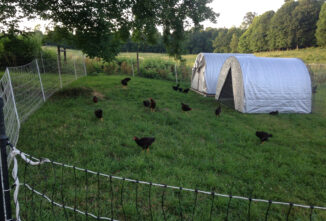 Small is the Next Big Thing